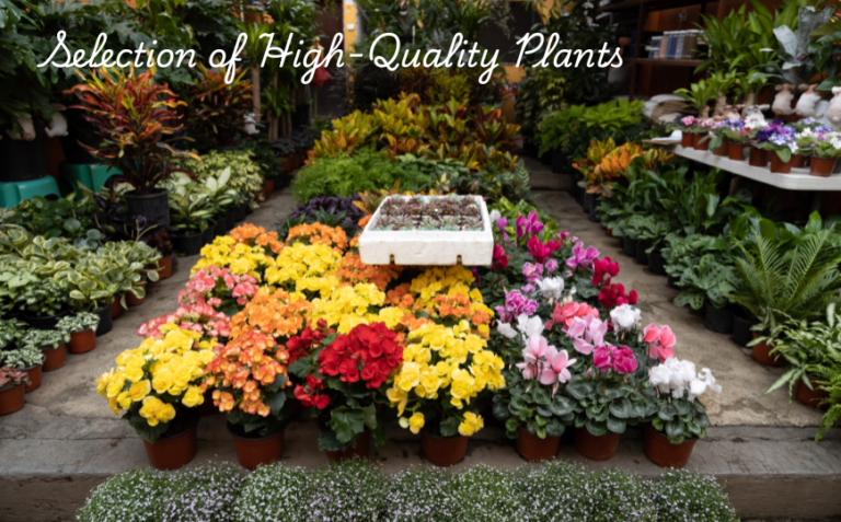 6. the benefits of plant nurseries webfreen.com